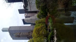 20170430_141502.jpg